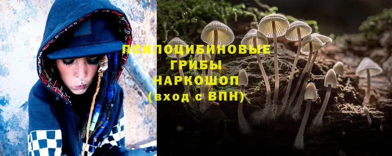 купить наркотик  Ульяновск  Галлюциногенные грибы MAGIC MUSHROOMS 